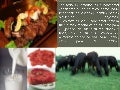 Cultivos Forrajeros I