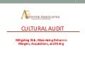 Cultural Audit