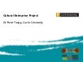 Project briefing May 2012: Cultural enterprise
