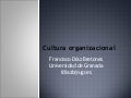 Cultura Organizacional