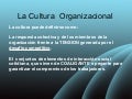 Cultura organizacional