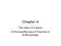 Culture theory review of theories