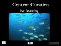 Curation for schools