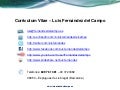 Curriculum Vitae - Luis Fernández del Campo