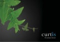 Curtis Hotel Brochure 2010