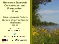 Statewide Conservation & Preservation Plan