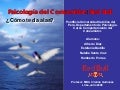 Psicología del Consumo: el Caso Red Bull