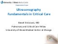 Ultrasonography Fundamentals In Critical Care: Lung Ultrasound, Pleural Ultrasound, Other Potetial Utilities of Ultrasound
