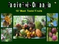 Favorite Fruits Of Malaysia