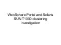 SUN Solaris Zones WebSphere Portal licensing
