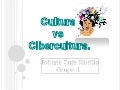 Cutura vs cibercultura