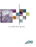 USA Market Entry Services - CXO Advisory Group