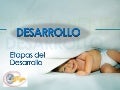 Cyd 3 años