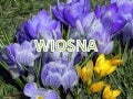 Cztery pory roku nadia malkowska kl.1a1