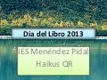 Día del libro 2013