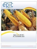 DAILY AGRI REPORT BY EPIC RESEARCH- 29 DECEMBER 2012