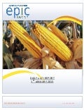 DAILY AGRI REPORT BY EPIC RESEARCH- 01-JAN-2013