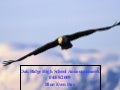 Daily Announcements
