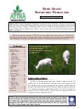 Dairy Goats: Sustainable Production