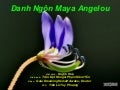 Danh ngon-maya-angelou