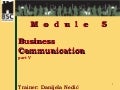 Danijela Nedic - Business Communication