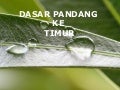 Dasar pandang ke timur