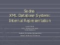 Sedna XML Database System: Internal Representation