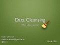 Data Cleansing introduction (for BigClean Prague 2011)
