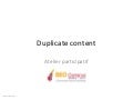 SEO Campus 2011 : Duplicate Content (Compte-rendu ateliers participatif)