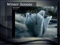 Winter Sonata