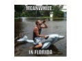Tropical Storm Debby Leaves a Trail of Memes in Her Wake