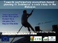 Towards participatory ecosystem-based planning in Indonesia: a case study in the Moluccas