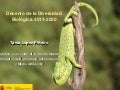 decenio_diversidad_biologica_2011_2020.pdf