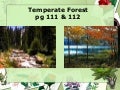 Sec1 - Deciduous & Coniferous Forest