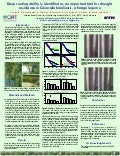 Poster20: Deep rooting ability is identified as an important trait for drought resistance in Canavalia brasiliensis, a forage legume 