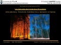 Los Seguros de Incendios Forestales Antecedentes y  Estudio de Viabilidad de su Aplicación en Galicia