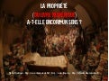 De la propriete du livre numerique