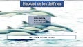 Habitad de Delfines !!!