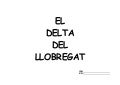 Delta del llobregat