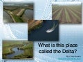 What is this place called the Delta?