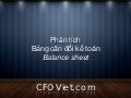 Tài liệu phân tích tài chính: Cách đọc Bảng cân đối kế toán (Download giáo trình)