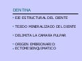 D En Tina 1