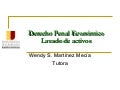ENJ-325: Derecho Penal Económico y Lavado de Activos