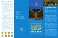 About The United Nations Department of Economic and Social Affairs