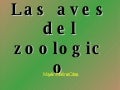 Describiendo Las Aves Del Zoologico