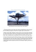 Desertification - The Horn Of Africa Experiencing Serious Drought