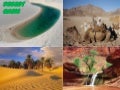 DESERT OASIS  MUSIC UNCHAINED MELODY
