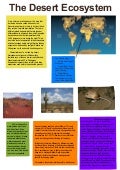 Desert poster cssl
