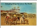 Design for being in the world