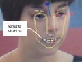 Sapienta Machina: on an instrumented relationship between humans and robots